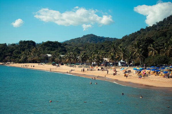 Comment planifier une excursion culinaire à la recherche des meilleures tapas à Séville?